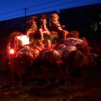 Les Honorables, 2006